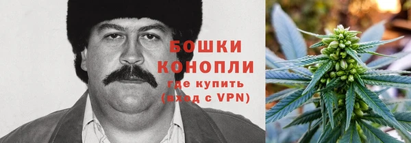 кокс Михайлов
