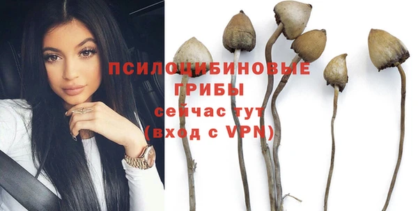 тгк Михайловск