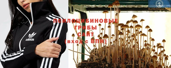 кокс Михайлов