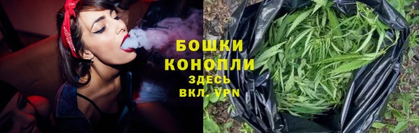 тгк Михайловск