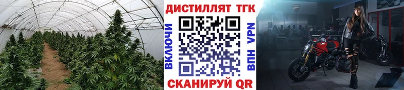 ТГК Wax  Тавда 