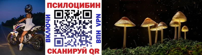Галлюциногенные грибы Psilocybe Тавда