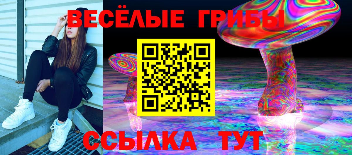 наркота  Псилоцибиновые грибы GOLDEN TEACHER  Вход с VPN  Тавда 
